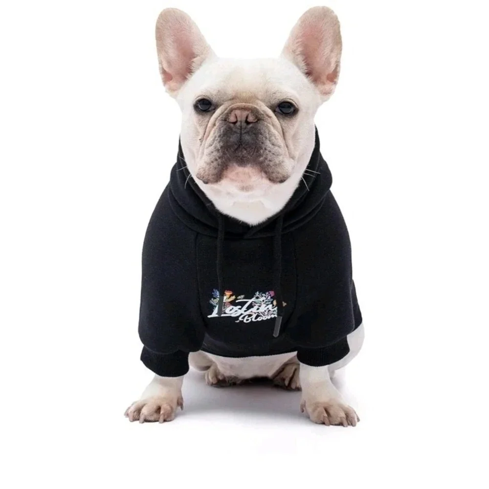 Blooming Teddy Dog Hoodie, Extra Warm Fleece Lining Stretchy Fit (Small) New